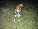 dscn0330